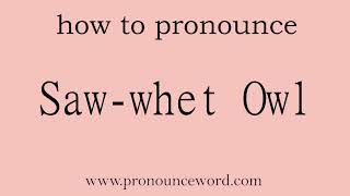 Sawwhet Owl How to pronounce the english word Sawwhet Owl Start with S Learn from me [upl. by Oneill816]