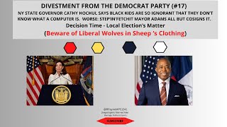 Divestment From the Democratic Party  Black Folks Wake Up [upl. by Omocaig]