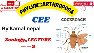 Phylum ArthropodaCee best lecture with notes lecture3 [upl. by Tally]