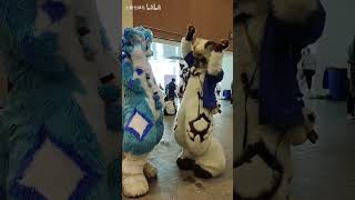 【Fursuit Dance】 Qita 七塔也掉毛  Cascada Everytime We Touch [upl. by Meeks]