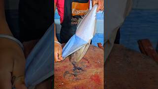 Leatherjacket Fish ഉടുപ്പൂരി മീൻ Chappal Fish Cutting skills shorts viral bigfish seafood fish [upl. by Liborio]