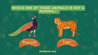 Animal Species Quiz  Traits and Habitat  Vertebrates and Invertebrates Kids Education [upl. by Madella]