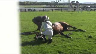 Racing horse death by accident in Galway [upl. by Eiggem]