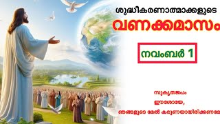 ശുദ്ധീകരണാത്മാക്കളുടെ വണക്കമാസം Souls in Purgatory November 1 [upl. by Niko]