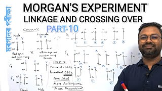 MORGANS EXPERIMENT  LINKAGE amp CROSSING OVER  PRINCIPLE OF INHERITANCE amp VARIATION class12biology [upl. by Abihsot642]