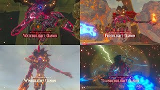 All Ganon Blight Battles Master Mode Naked No Damage Zelda Breath of the Wild [upl. by Ajnek]