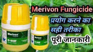 Merivon fungicide Basf।। मेरीवोन फंगीसाइड को इस्तेमाल करने का सही तरीका। [upl. by Yerahcaz363]