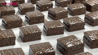 Chocolate flavor layer cake automatic producion line [upl. by Norrv32]