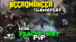 ESO Necromancer PvP  Plague Rat bow necro pvp [upl. by Libyc]