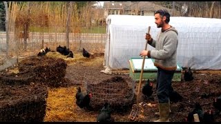 Chicken Compost  Spring 2017 Update  Compost Rings and Worms Galore [upl. by Freberg]