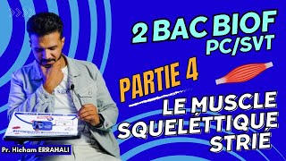 2 BAC BIOF Partie 4 LE MUSCLE SQUELETTIQUE STRIÉ [upl. by Onimod828]