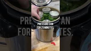 Bulk green beans  procrastination  Nesco Smart Canner  BRILLIANT canning canningandpreserving [upl. by Dagmar435]