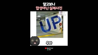 진짜인데 가짜같은 진짜같은 사진 😹 [upl. by Eddra]