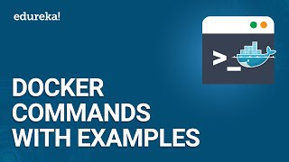 Docker Commands With Examples  Docker Tutorial  DevOps Tutorial  Docker Training  Edureka [upl. by Bose]