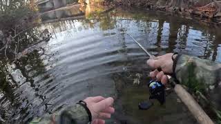 Creek and River Fishing spinnerbait plastics creekfishing largemouth greensunfish [upl. by Georgi224]