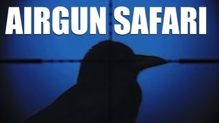 Fieldsports Britain  Airgun safari round a British garden  hunting red hartebeest episode 134 [upl. by Elagibba]