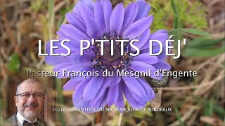 1361  Les Ptits déj spirituels  Reçois le comme moi même  Philémon 17 [upl. by Akemal855]