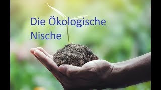 Die ökologische Nische  Ökologie [upl. by Ayotahc344]