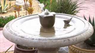 How to Attract Birds with Birdbaths  Hanks Hints  Tough Grit [upl. by Theodoric]