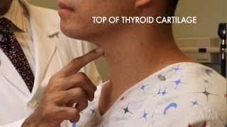 The Thyroid Exam Stanford Medicine 25 [upl. by Ilsa]