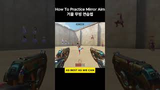 How To Practice Mirror Aim [upl. by Hsima]