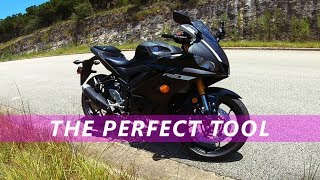 2019 Yamaha R3 Review Comprehensive Breakdown [upl. by Annaitat]