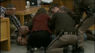 Larry Nassar is Attacked in Court [upl. by Norse]