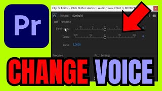 How To CHANGE VOICE In Premiere Pro FULL GUIDE 2024 [upl. by Barabas]