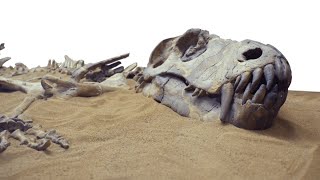 Worlds Oldest Dinosaur Fossil Revealed in Brazil [upl. by Phelgen]