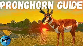 Rancho Del Arroyo Pronghorn Guide TheHunter Call Of The Wild 2023 [upl. by Akimihs850]