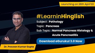 Normal Pancreas Histology in Hinglish By Dr Praveen Kumar Gupta exclusively on eGurukul 30 [upl. by Suez]