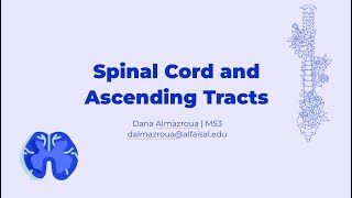 Spinal Cord amp Ascending Tracts  Dana Almazroua  NEU 241 PAL review session [upl. by Arayk]