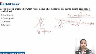 Homologous chromosomes [upl. by Ahsienyt]