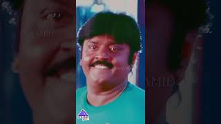 கொட்டு கொட்டு  Pottathalem Video Song  Bharathan Movie Songs  Vijayakanth  Ilaiyaraaja  Shorts [upl. by Grodin256]