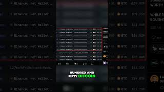 WHALE ALERT HUGE BITCOIN PURCHASE WORTH 301 MILLION ON BINANCE bitcoin crypto cryptonews [upl. by Yenaffit273]