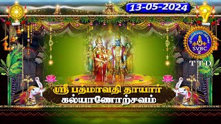 Sri Padmavathi Ammavari  Kalyanotsavam  Tiruchanoor  SVBC2 Tamil  13052024  SVBC TTD [upl. by Ailalue]