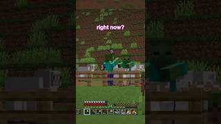 how do I rehome the villagers minecraft day 9 [upl. by Wescott]