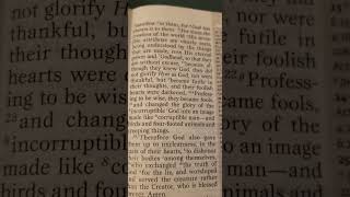 Glimpse of Romans book in the bible Trust in Jesus Christ today [upl. by Enobe125]