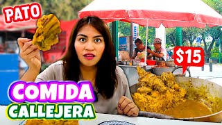 Comiendo COMIDA CALLEJERA MUY BARATA 🍖¡ 2 pesos LA CARNE ASADA 😱 ¡PROBÉ EL PATO 🦆 [upl. by Amre]