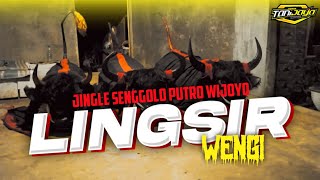 DJ BANTENGAN LINGSIR WENGI JINGLE SENGGOLO PUTRO WIJOYO DJ HELOS PRODUCTION [upl. by Deborath565]