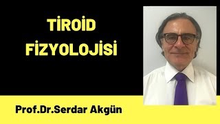 Fizyoloji Tiroid Fizyolojisi Endokrinoloji Tıp Dersleri 1Bölüm [upl. by Aitrop]