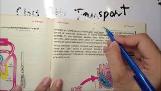 Pulmonary and Systemic circulation  heartbeat  Pulse and Heart rate  9th class Biology chapter 9 [upl. by Ylellan961]