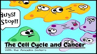 OLD VIDEO The Cell Cycle and Cancer [upl. by Nylhsa67]