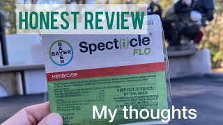 SPECTICLE FLO an honest review [upl. by Eibob]