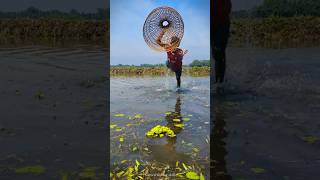 😲Village Traditional Bamboo Tools Polo Fishing Video😱🖤Part54fishing shorts polofishing [upl. by Llennoc]