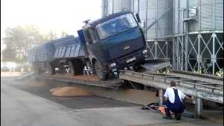 Truck unloads grains on the ramp грузовик МАЗ высыпает зерна на рампе [upl. by Sax]