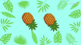 The Pineapple Song Kids Song [upl. by Naloc]