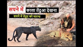 सपने में तेंदुए को मारना  सपने में काला तेंदुआ देखना sapne mein kala tendua dekhna blackpanther [upl. by Yrehc]