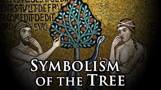 Symbolism of the Tree [upl. by Ridglea]