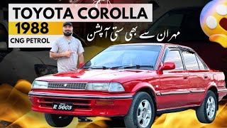 Toyota Corolla 1988  Best Car In Budget [upl. by Witte412]